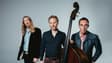 Promotional image for The Wood Brothers