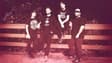 Promotional image for The Warped Tour Band