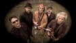 Promotional image for Damn the Torpedoes - "The Live Tom Petty Concert Experience"