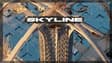 Promotional image for Skyline LA
