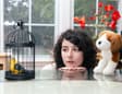 Promotional image for Madds Buckley