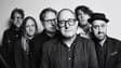 Promotional image for The Hold Steady: Storytellers Set