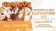 Promotional image for The Gringos