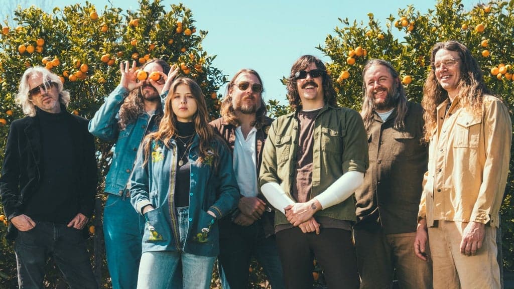 Promotional image for Grateful Shred
