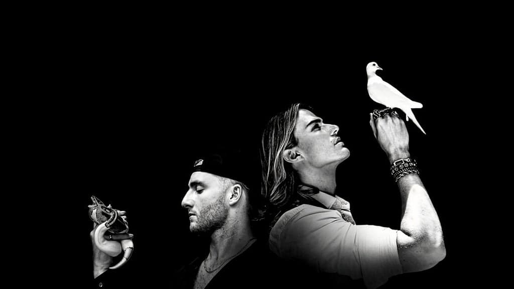 Promotional image for VOILA