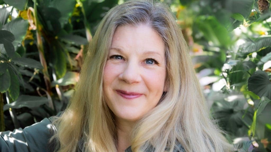 Promotional image for Dar Williams