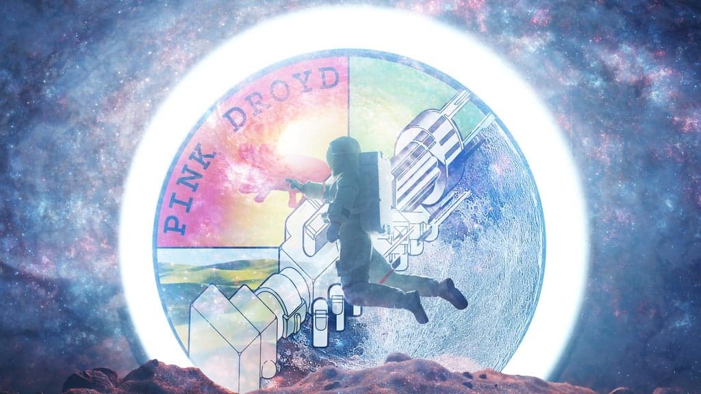Promotional image for Pink Droyd