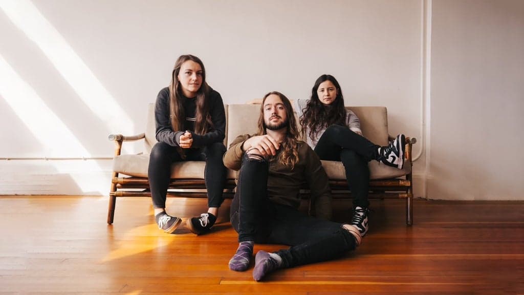Promotional image for Like Roses