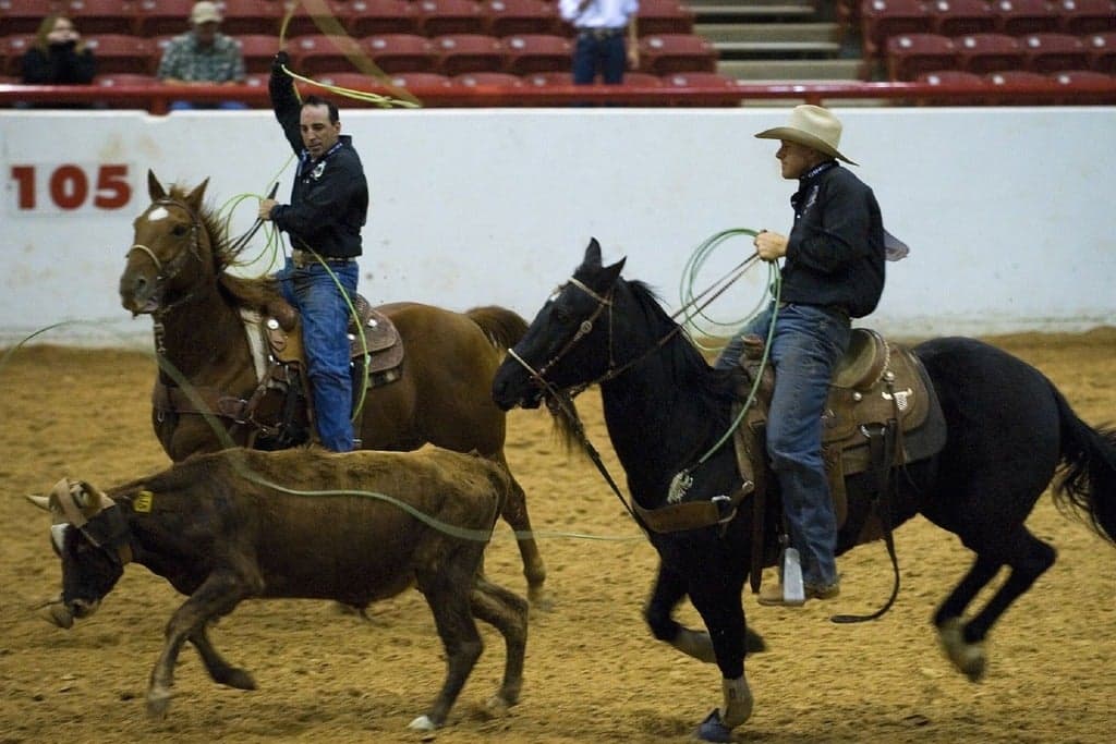 Promotional image for Red Steagall Cowboy Gathering