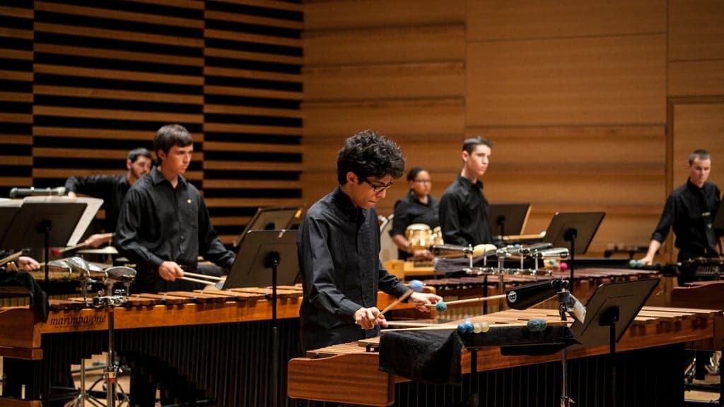 Promotional image for USF Percussion Ensemble