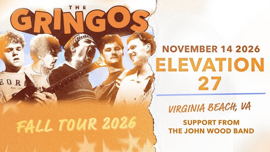 Promotional image for The Gringos