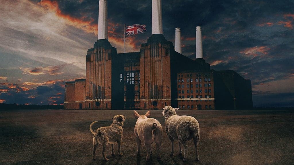 Promotional image for BRIT FLOYD - ANIMALS 50