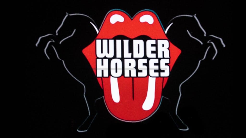 Promotional image for Wilder Horses: A Tribute To The Rolling Stones